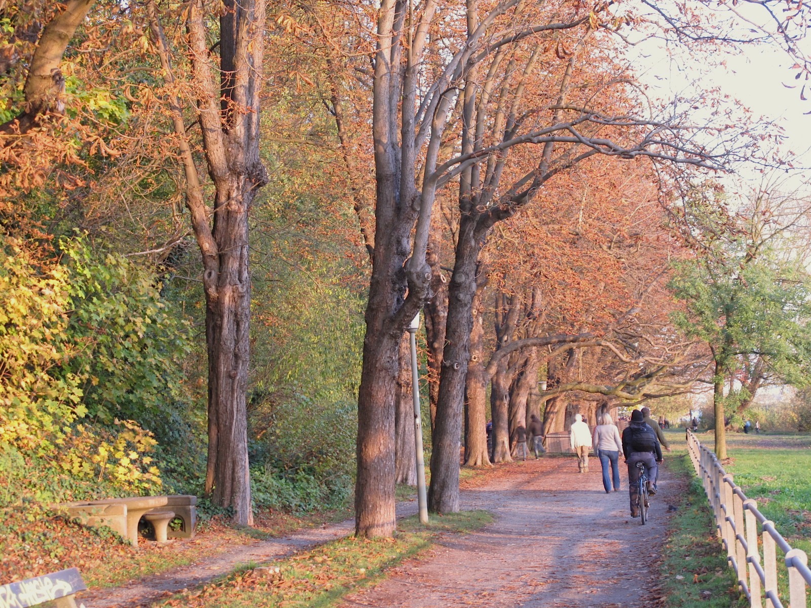 Elbradweg