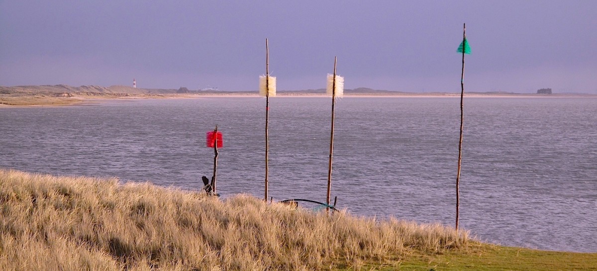 Ellenbogen Sylt