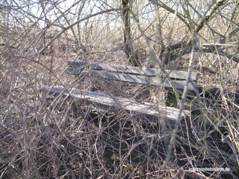 Bank