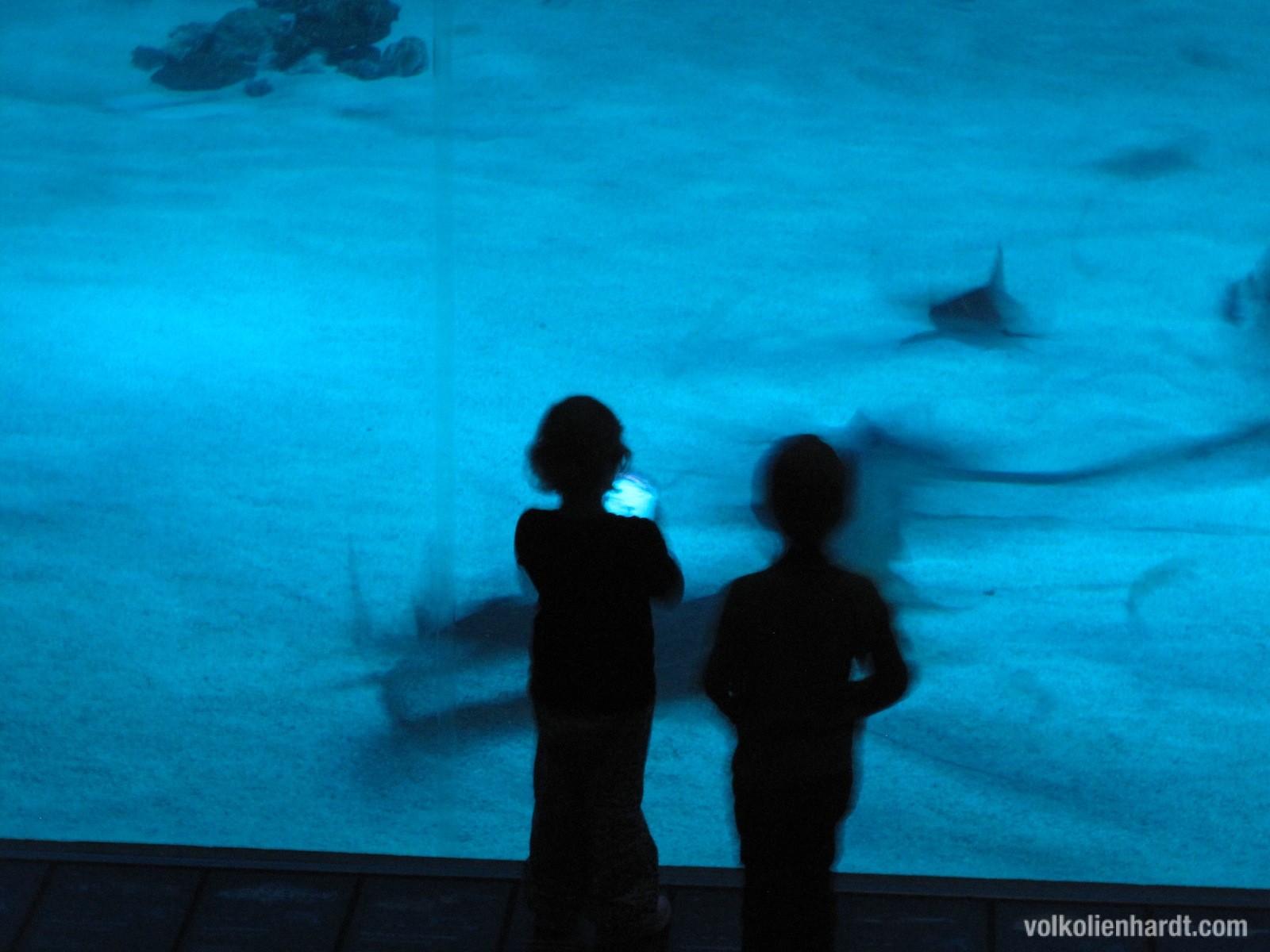 KinderimAquarium