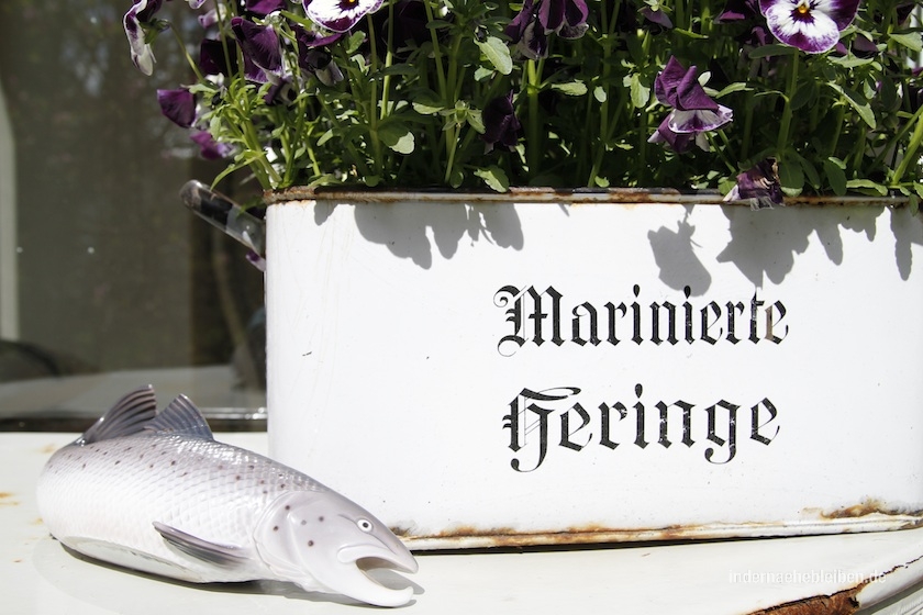 Marinierte Heringe