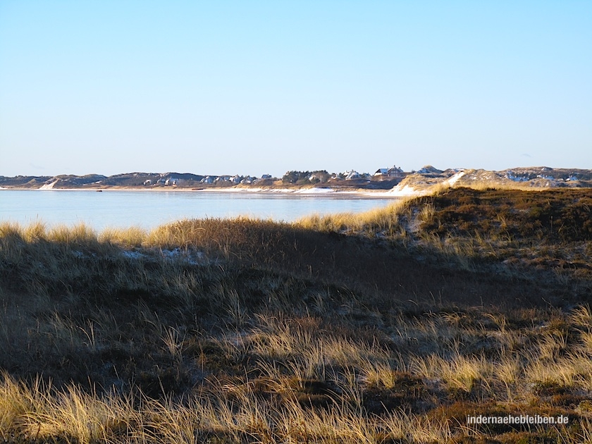 Suederheide Sylt