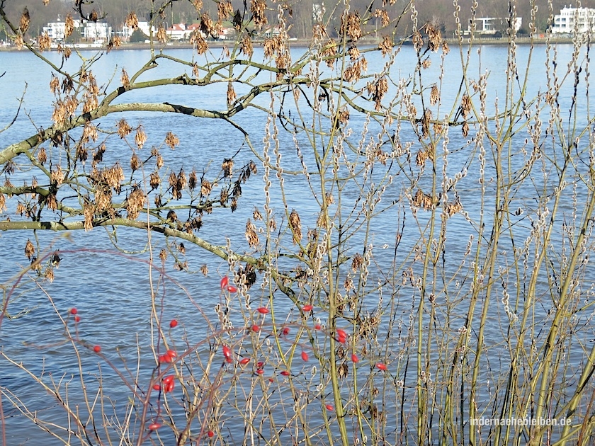 Gorch-Fock-Park