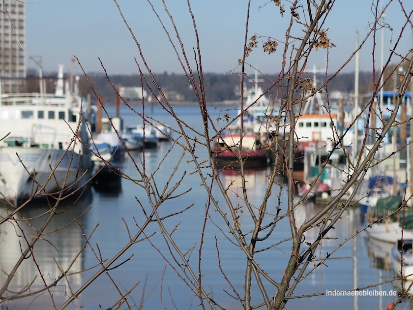 Steendiekkanal Finkenwerder