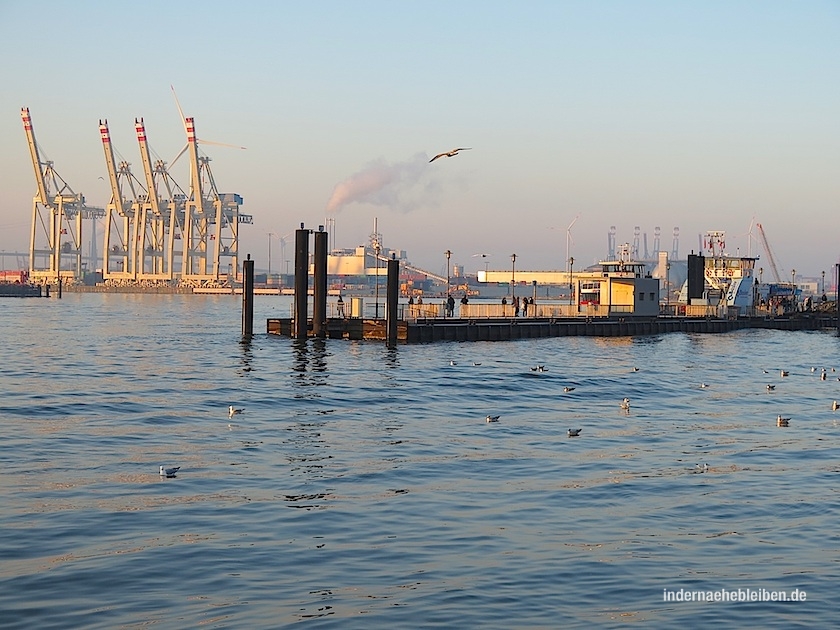 Anleger Fischmarkt Altona