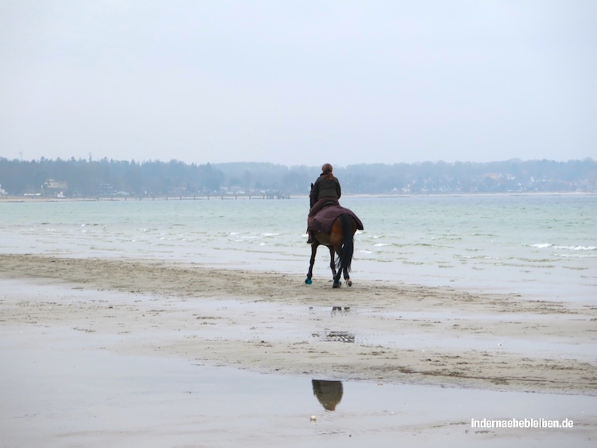 Pferd am Strand