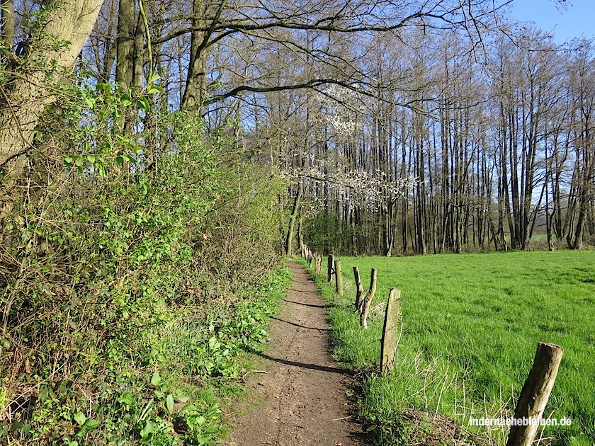 Wanderweg