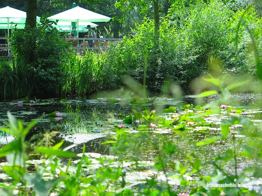 Moorgarten Hagenburg