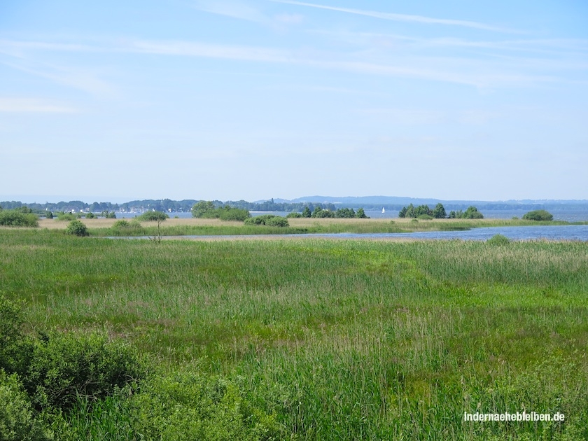 Ostufer Steinhuder Meer