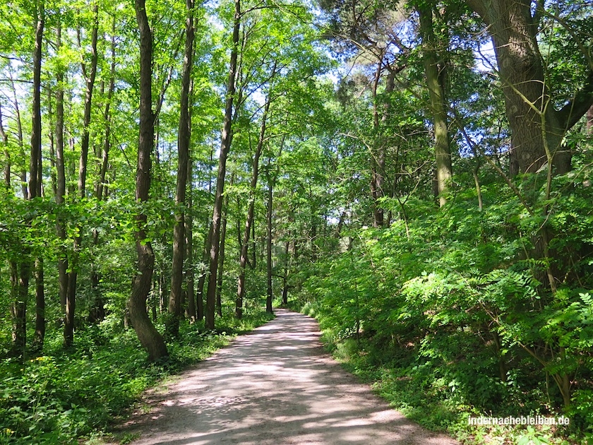 Mardorfer Uferweg