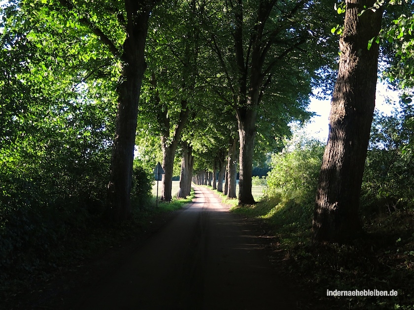 Allee