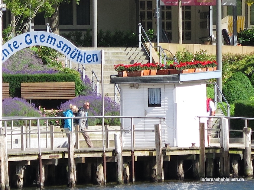 Wunderbare Geranien :-)