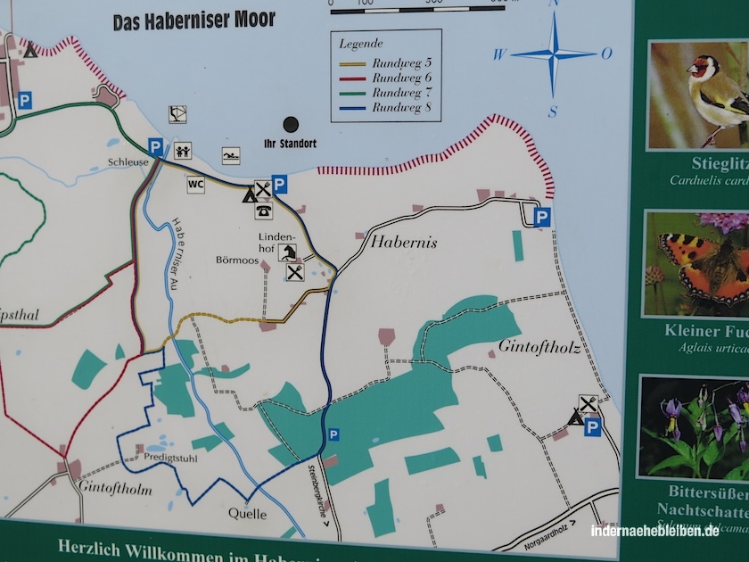 Habernis Moor