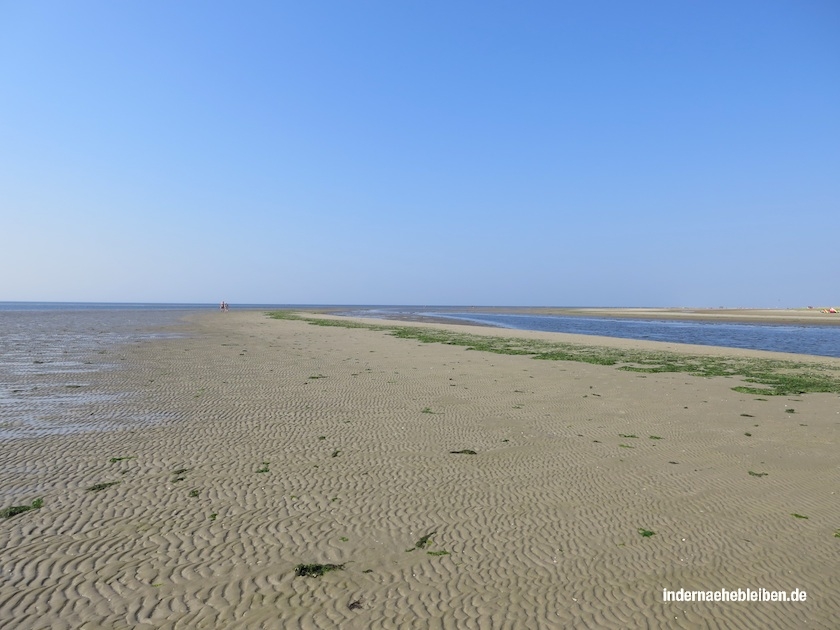 Strand Boehl
