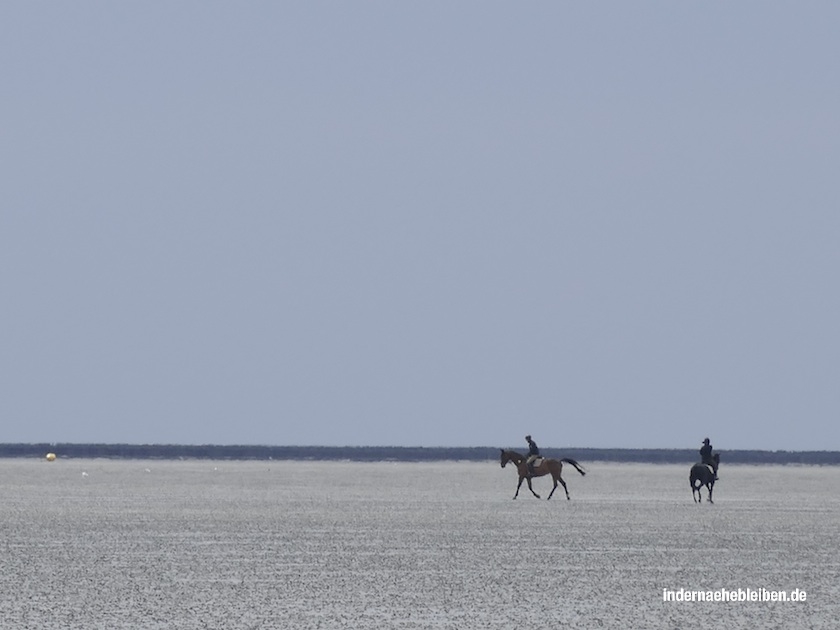 Reiten Watt