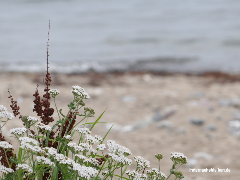 Naturstrand