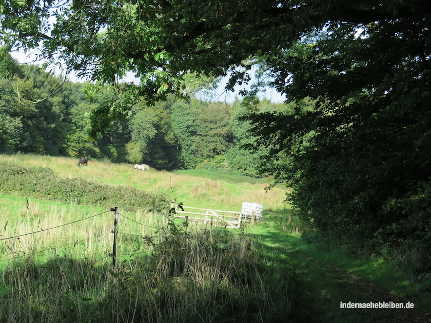 Wanderweg