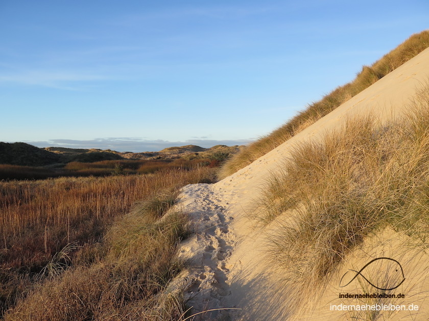 Sandduene