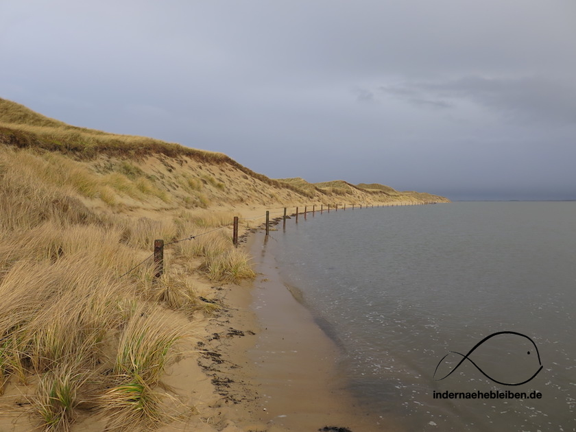 Amrum Odde