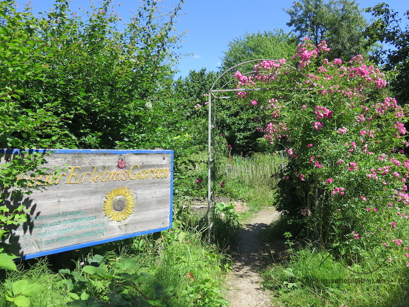 Akademie am See