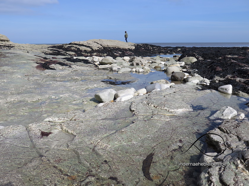 Flamborough Beach