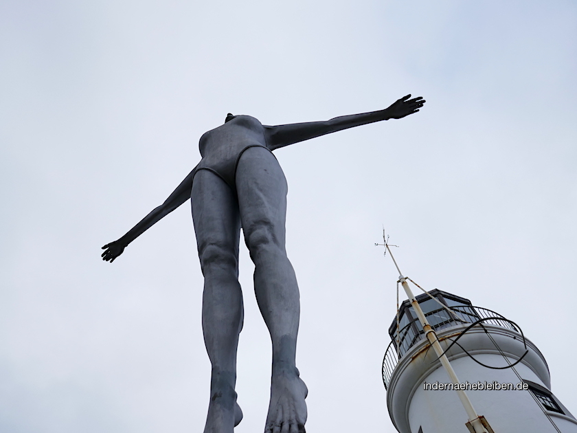 Diving Belle