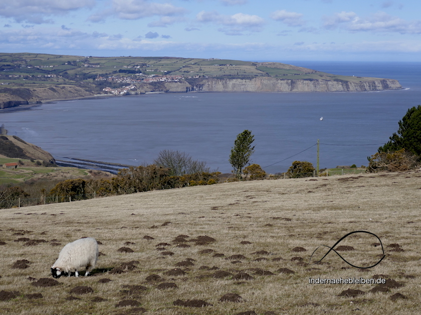 Ravenscar