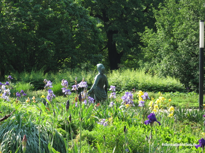 Sommer