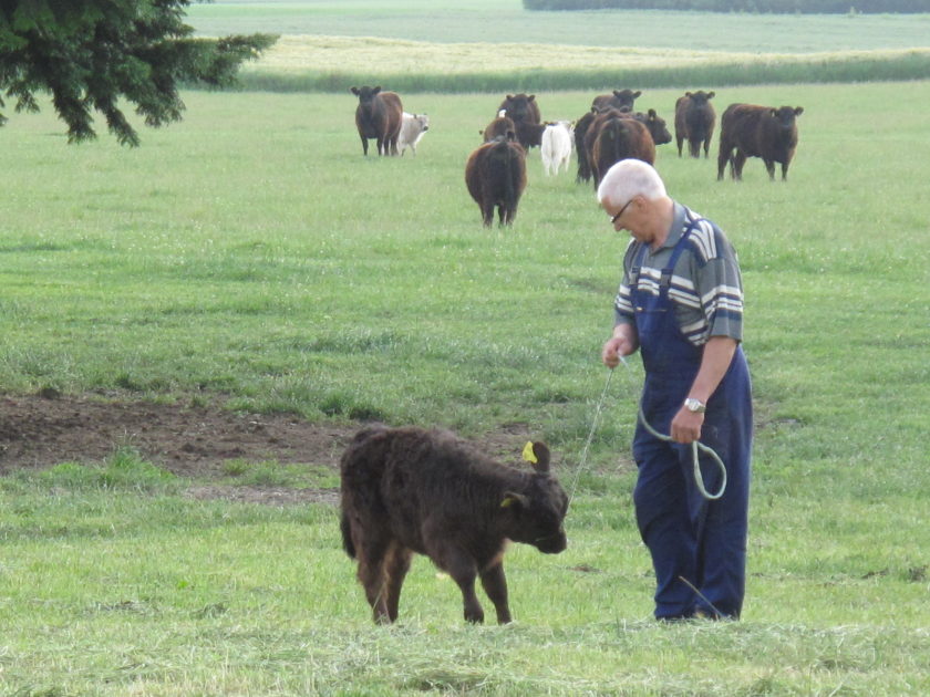 Landwirt