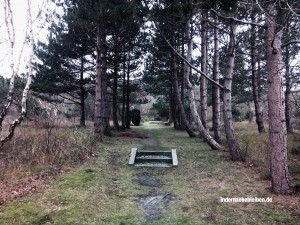 Friedhof in List auf Sylt