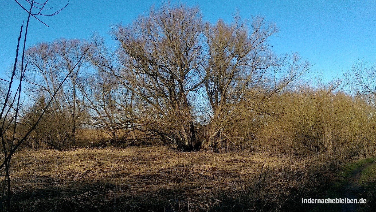 Heuckenlock