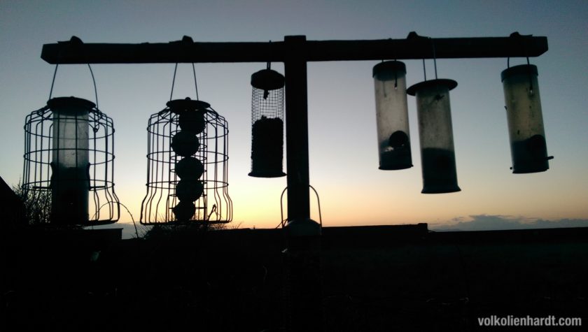 Birds Bistro