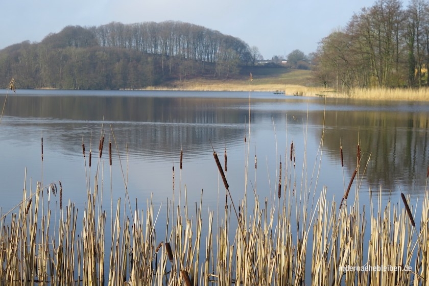 Niehuser See