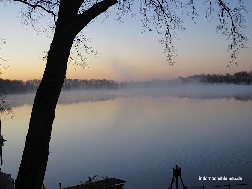 Nebel am See