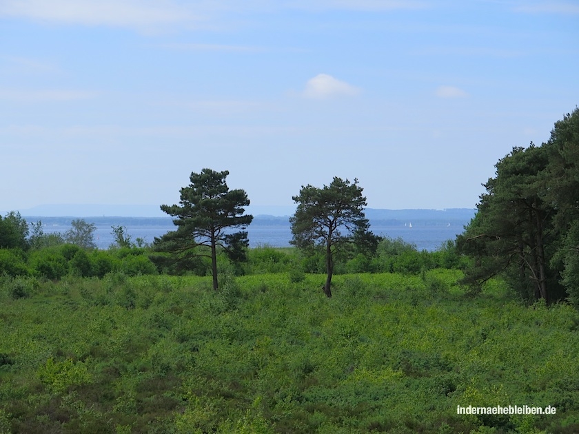 Steinhuder Meer Blick