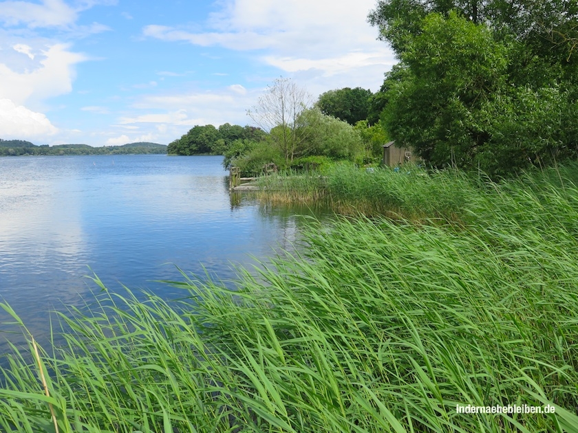 Dieksee