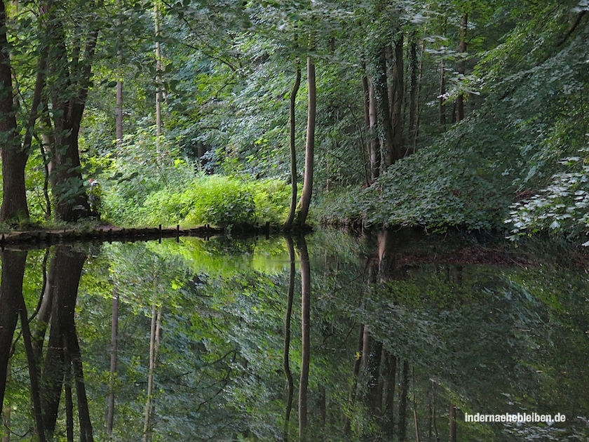 Spiegelteiche