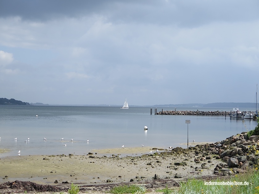 Wassersleben