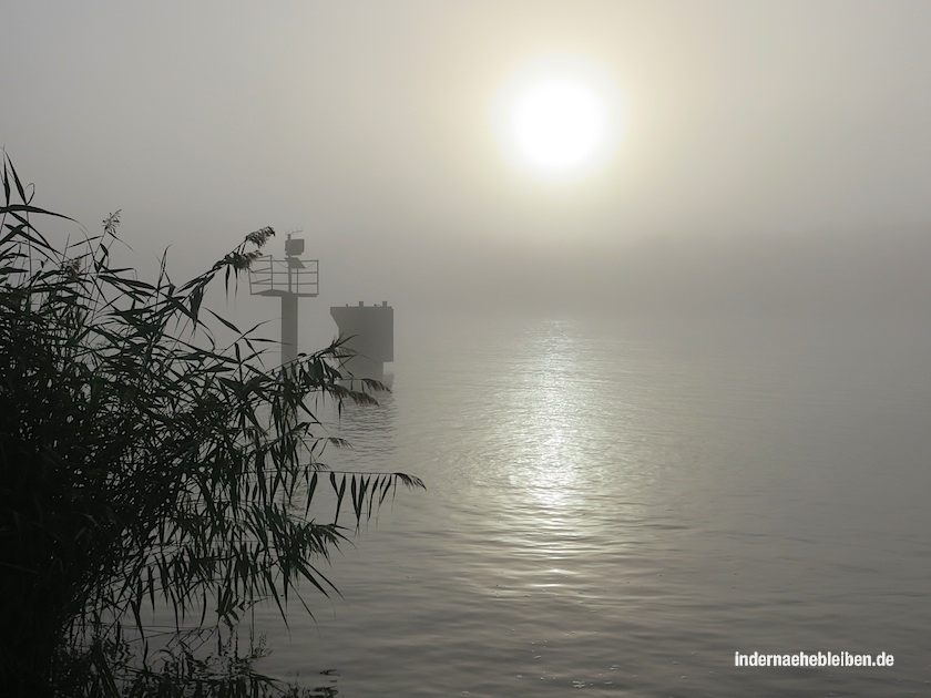 nebel am kanal