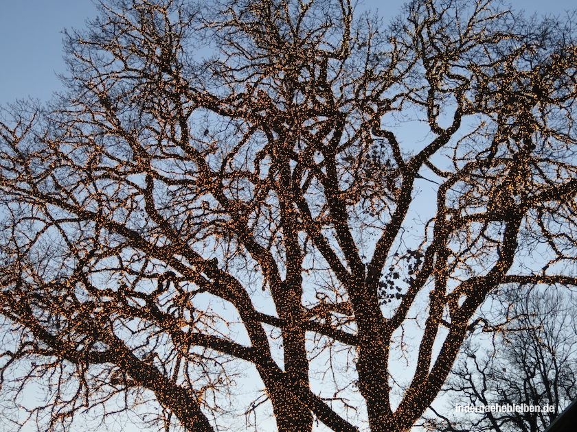 baum