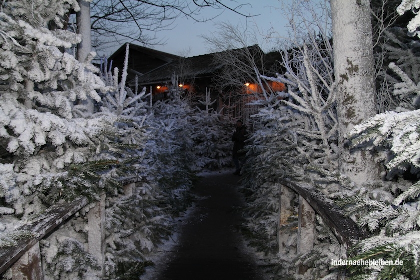 liseberg tannen