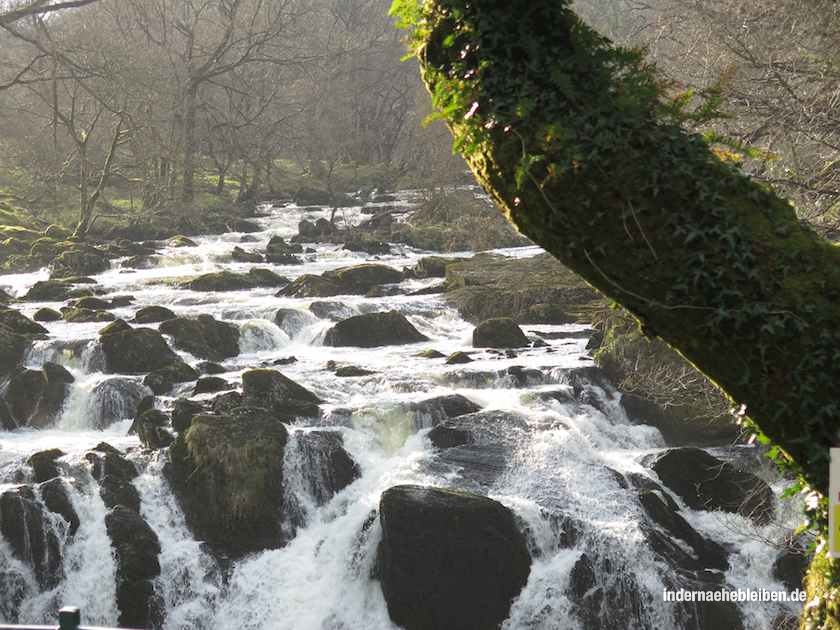 Swallow Falls