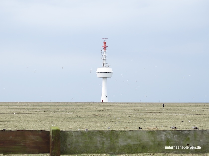 Fernsehturm Neuwerk
