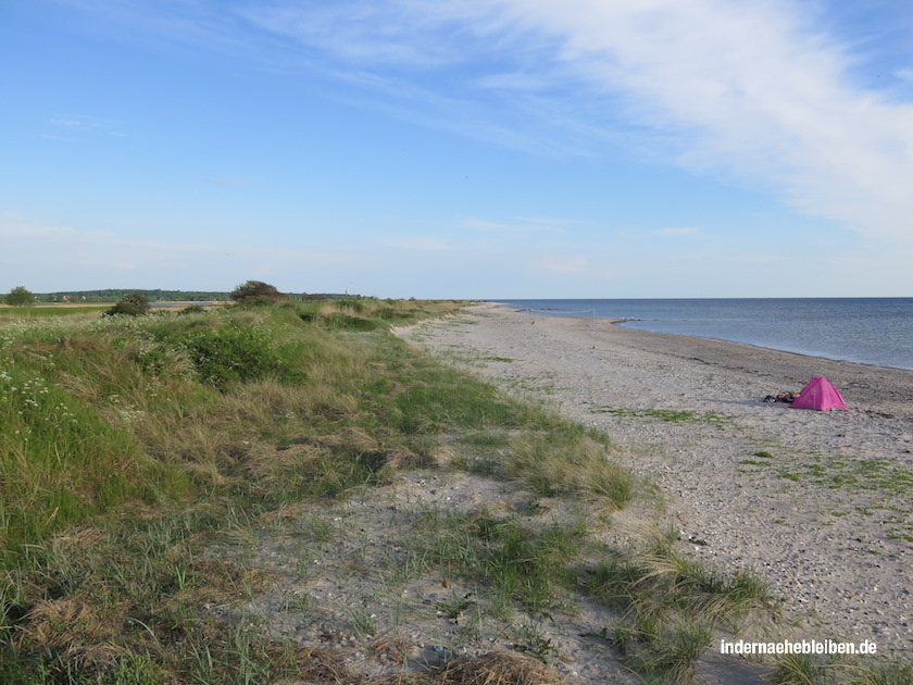 Strandmuschel