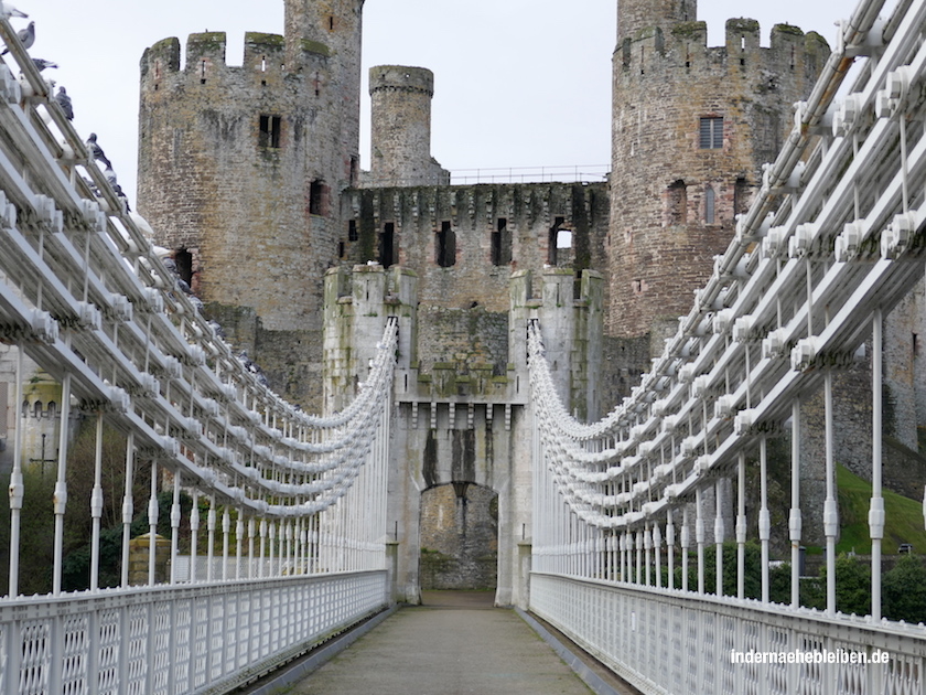 Conwy Castle
