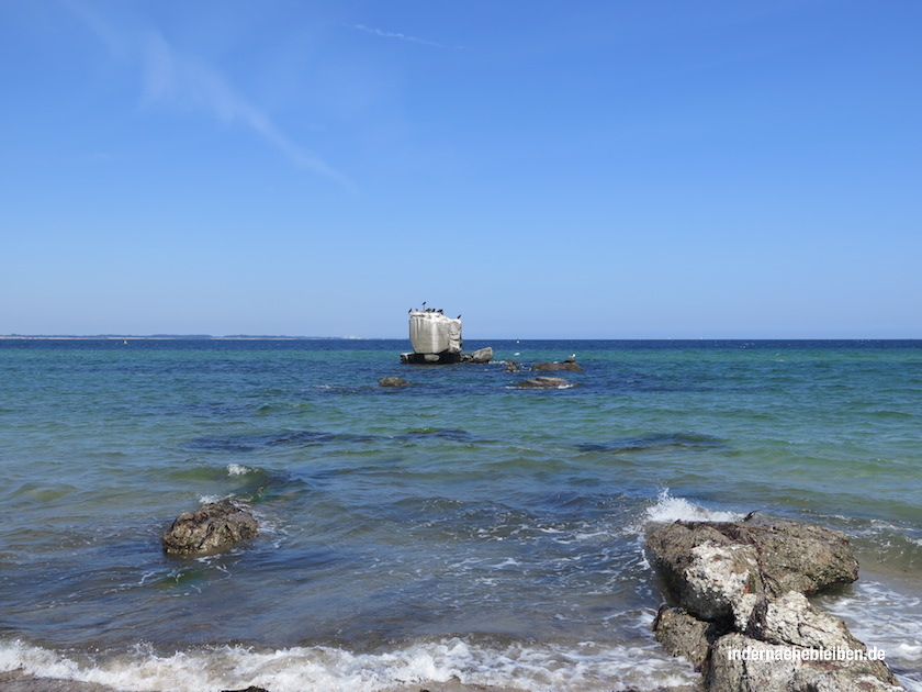 Kormorane