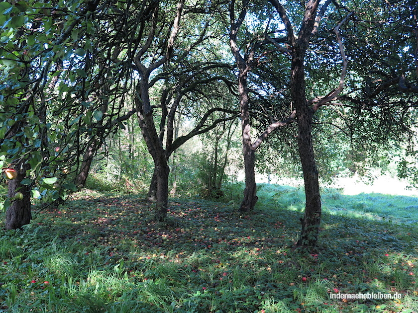 Apfelduft