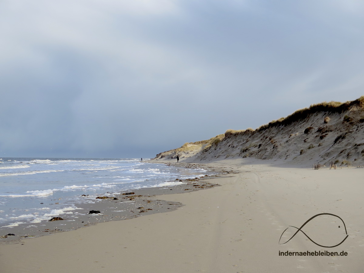 Amrum Odde