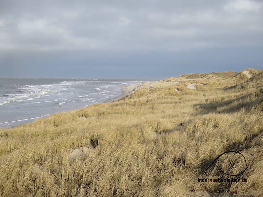 Amrum