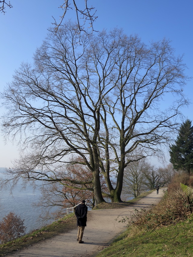 Elbhoehenweg